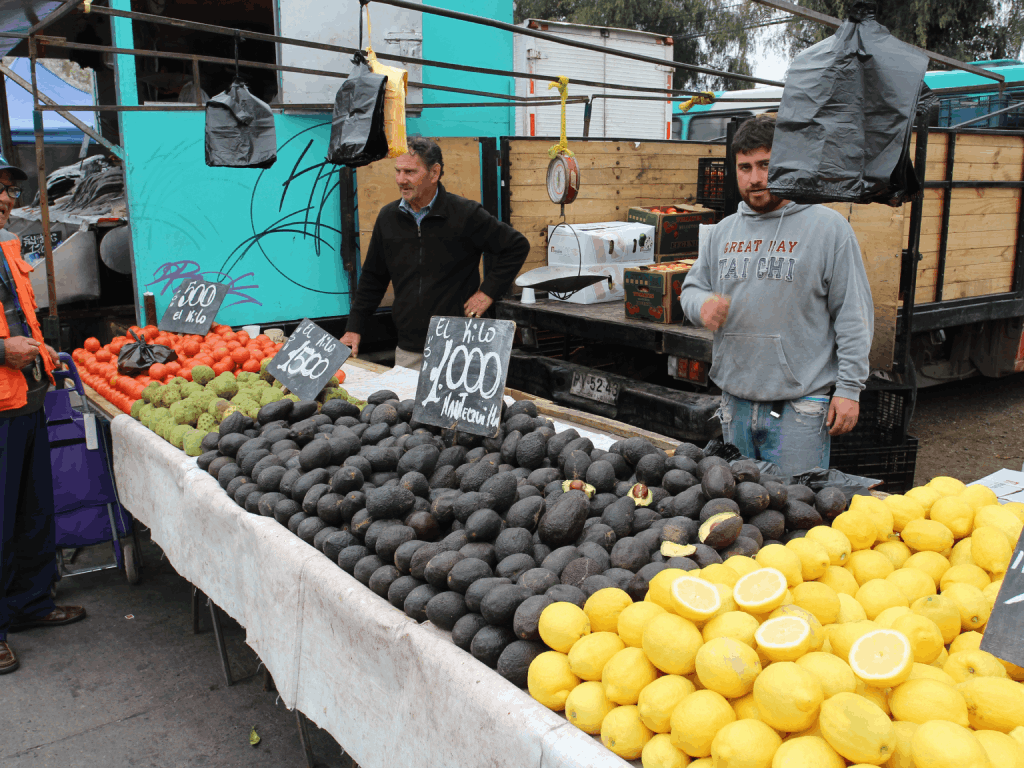 Explora los mercados más auténticos de Santiago